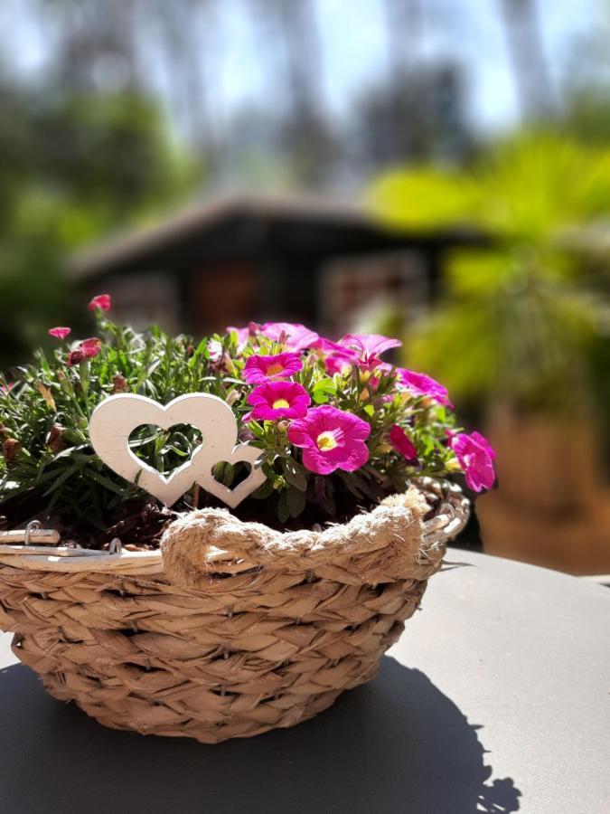 Secret Wellness Boszicht Villa Holten Bagian luar foto
